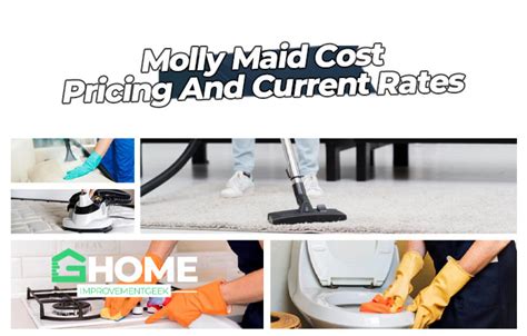 molly maid monthly cost|how much does molly maid cost.